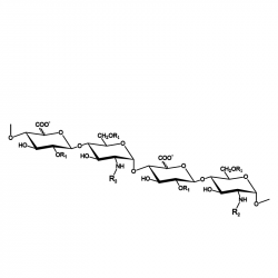 Heparin Polysaccharides